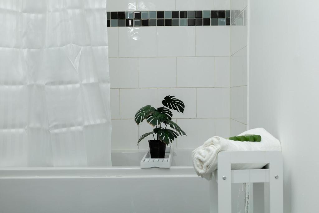 לייסטר Spacious City Centre 2 Bedroom Apartment - Lt Apartment מראה חיצוני תמונה